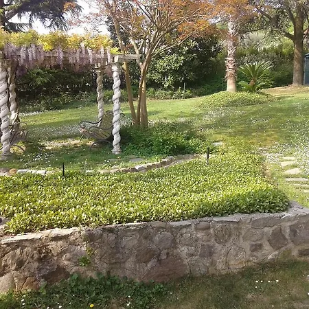 La Peonia *