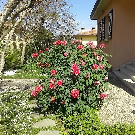La Peonia 아파트